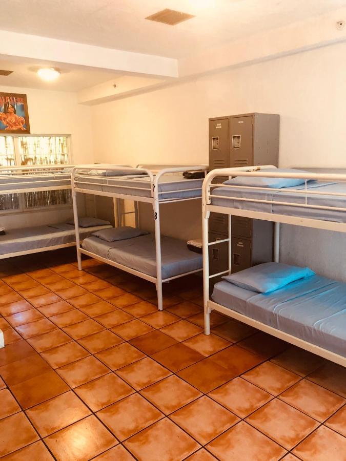 Single Bed 12 Bed Mixed Dormitory Room